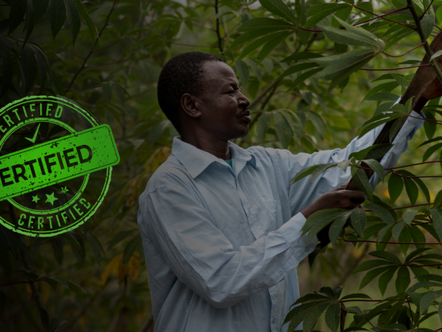 WHY WE BUILT INTA: Lessons 10+ Years on The Field